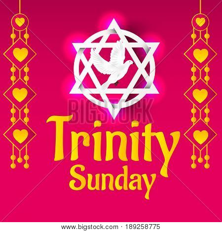 Trinity Sunday_30_mayl_38