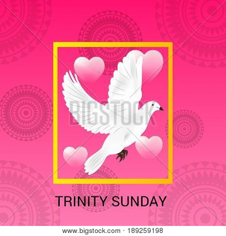Trinity Sunday_30_mayl_41