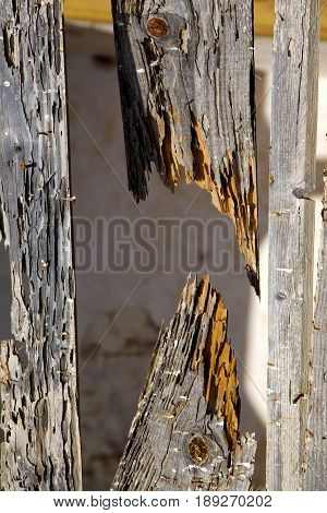 Texture In  Lanzarote Abstract   Brown Window