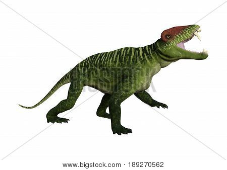3D Rendering Dinosaur Doliosauriscus On White