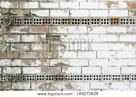Bricks And Plaster