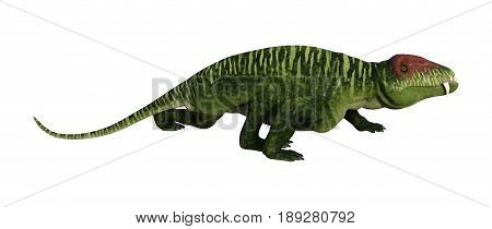 3D Rendering Dinosaur Doliosauriscus On White