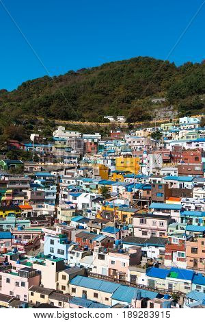 Busan Gamcheon Culture Village colorful and lovely village in South Korea with green mountain and clear blue sky as background