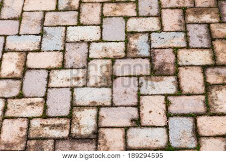 aged patterned red brick patio after a rain brings out the color of this rustic background or example of weather deterioration on brick