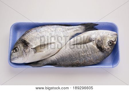 Dorado, Sparus, Bream Fish, Mediterranean Diet