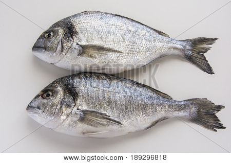 Dorado, Sparus, Bream Fish, Mediterranean Diet