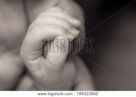 baby hands holding dads finger in black and white