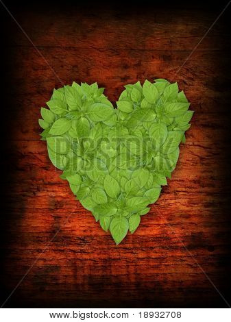 green heart of leaves