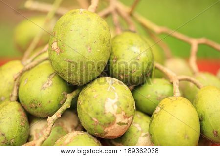 Otatheite apple, Golden apple, Jew plum fruit and herb