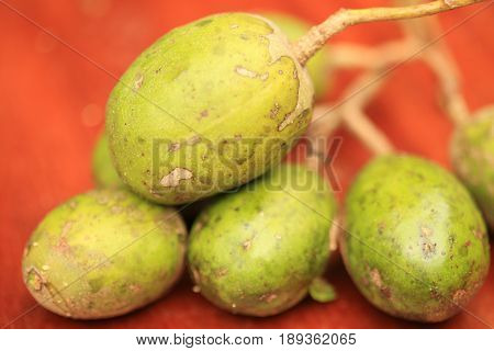 Otatheite apple, Golden apple, Jew plum fruit and herb