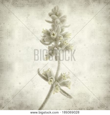 Textured Old Paper Background