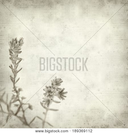 Textured Old Paper Background