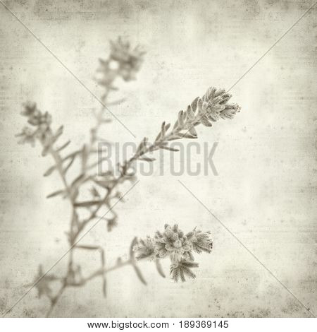 Textured Old Paper Background