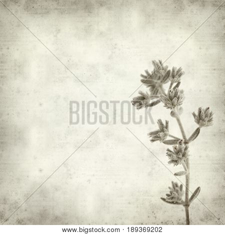 Textured Old Paper Background