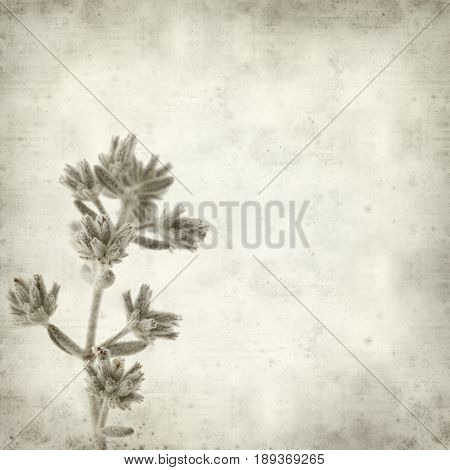 Textured Old Paper Background
