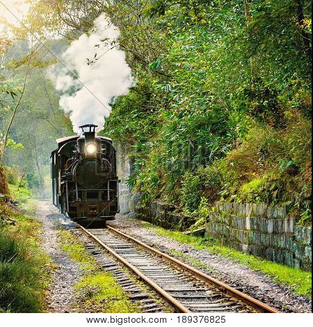 Steam narrow-gauge train moves from Bagou to Yuejin through the jungle. Jiayang Mining Region. Sichuan province. China