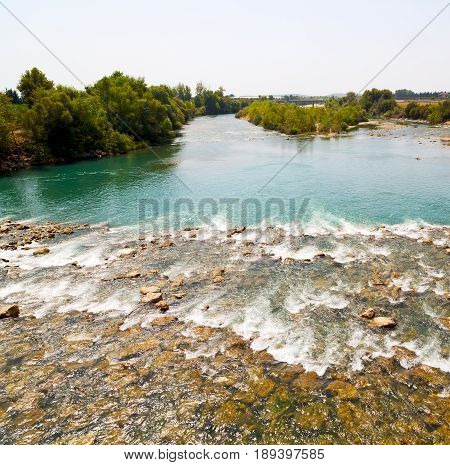 Near The River And Nature