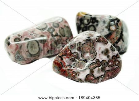 leopard jasper chalcedony quartz semigem geological mineral isolated