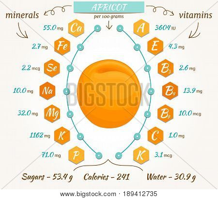 Pear infographics nutrition facts calories and analysis. The content of minerals and vitamins in pear. Vector illustration.