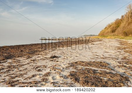 View on Coast in Augustenhof Denmark - Europe.