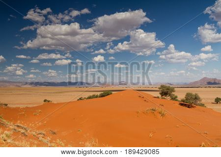View from the top of the Elim dune Namibia Africa