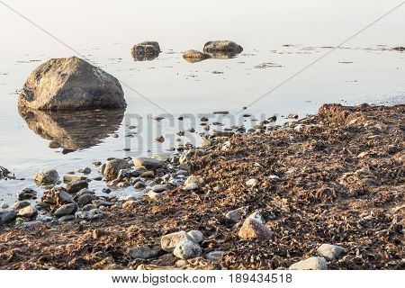 Coast in Augustenhof in Denmark - Europe.