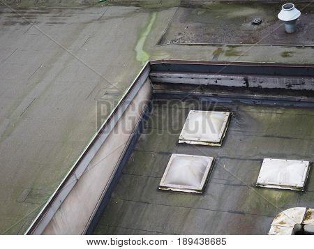 Mold On Flat Roof
