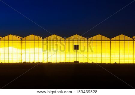 Greenhouse plant at night. Night landscape luminous glass construction. Silhouette of road signs on a background of a facade of a hothouse