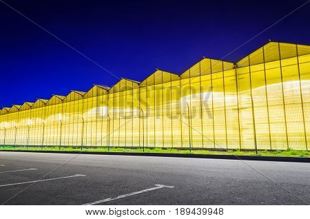 Parking near the luminous facade of the greenhouse. Greenhouse plant at night. Night landscape luminous glass construction.