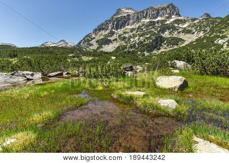 Amazing Landscape of Dzhangal peak and Banski lakes, Pirin Mountain, Bulgaria