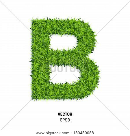 Green Grass Textute