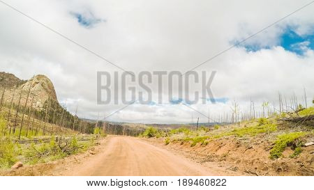 Dirt Road