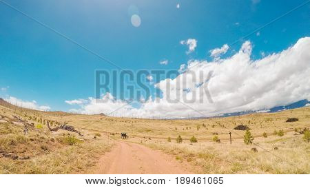 Dirt Road