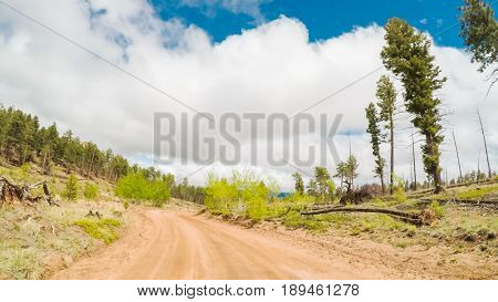 Dirt Road