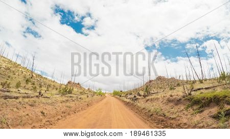 Dirt Road