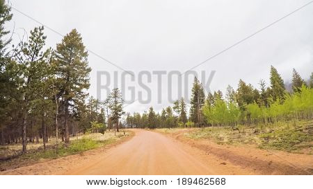 Dirt Road