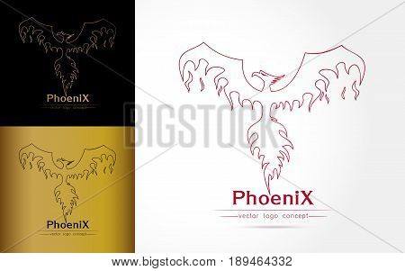 Magic Fairy Bird Abstract Logo design vector template. Flying Phoenix creative Logotype iconVector illustration of Phoenix isolated on white background