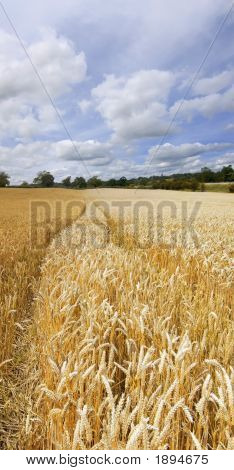 Terras agrícolas