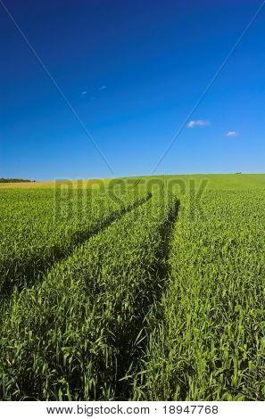 Zemědělství