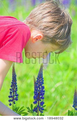 Sentant une fleur