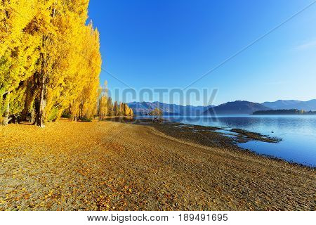 View of Lake Wanaka and The famous lone tree of lake Wanaka in Autumn , located at the foothills of Mount Aspiring National Park,  a World Heritage Site , Wanaka , South Island of New Zealand