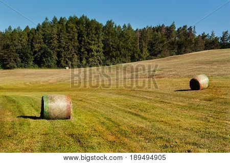 Hay bales on the meadow. Harvesting dried hay. Pushed meadow