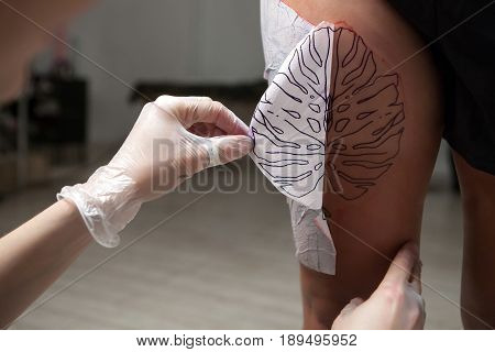 A professional tattooist is presented with sketch on the body of the girl in the Studio. Girl master and model