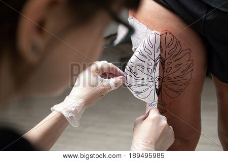 A professional tattooist is presented with sketch on the body of the girl in the Studio. Girl master and model