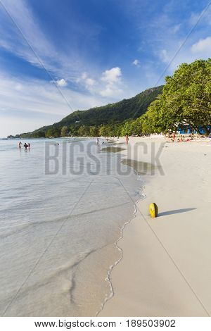 Coconut At Beau Vallon Beach, Mahe, Seychelles, Editorial