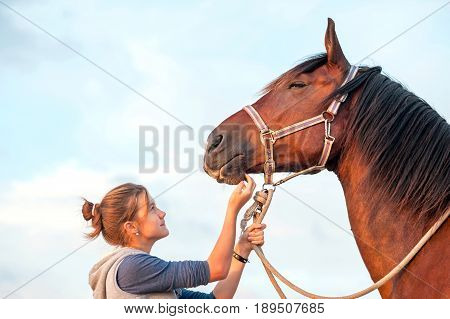 Young cheerful teenage girl stroking big chestnut horse's nose. Vibrant multicolored summertime outdoors horizontal image.