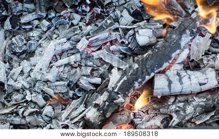 Beautiful burning bonfire in the camp preparing charcoal for barbecue natural fuel abstract natural background