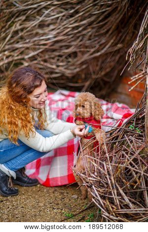woman threw a plaid over her shoulders and played with her dressed poodle in the autumn park