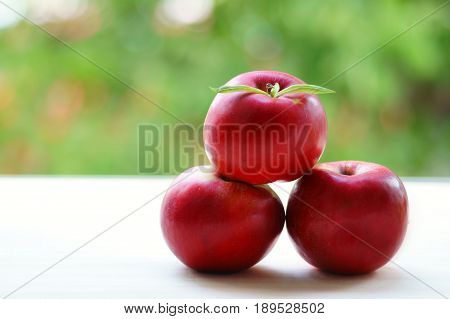 three fresh red apples on a green background