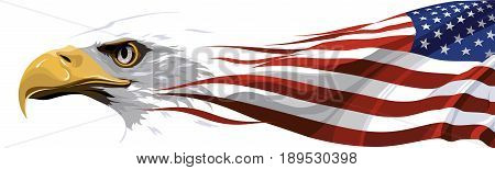 The national symbol of the United States of America